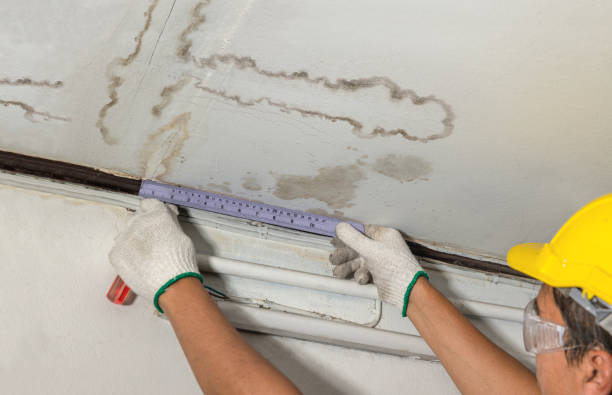 Reliable Mold Remediation contractor in Mount Vernon, SD by Water Damage Irwin